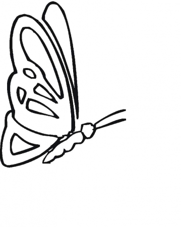 LEPKE 2