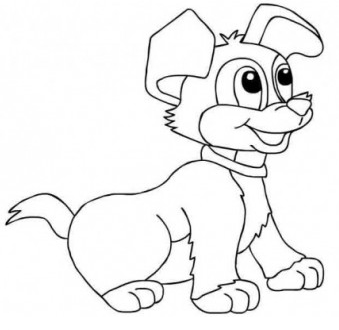KUTYUS 16